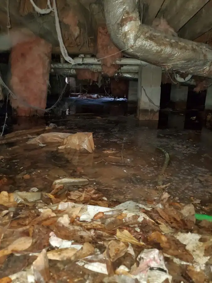 Crawl space flood assessment for Leak Detection & Repair in Gilroy